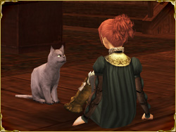 アパルタメント