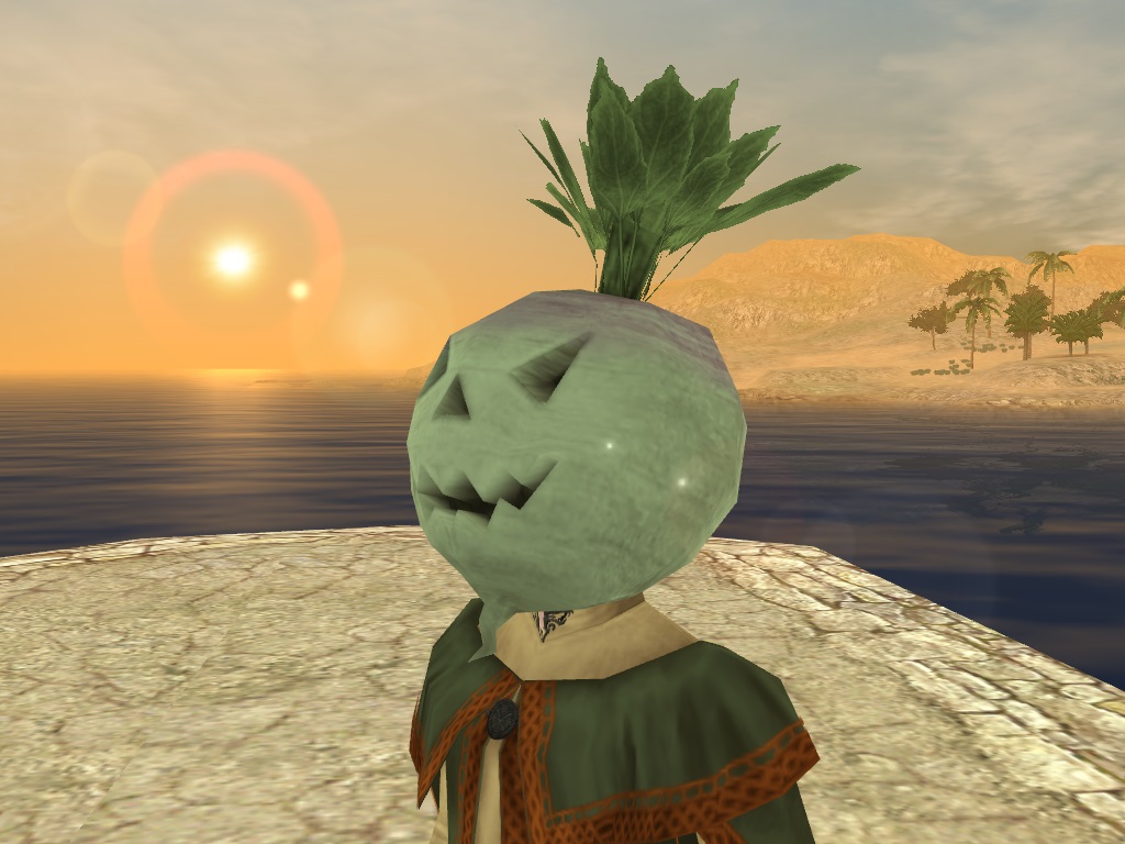 カブのかぶりもの