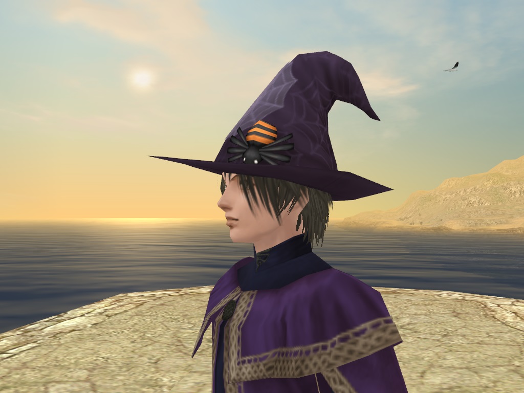 スパイダーハット